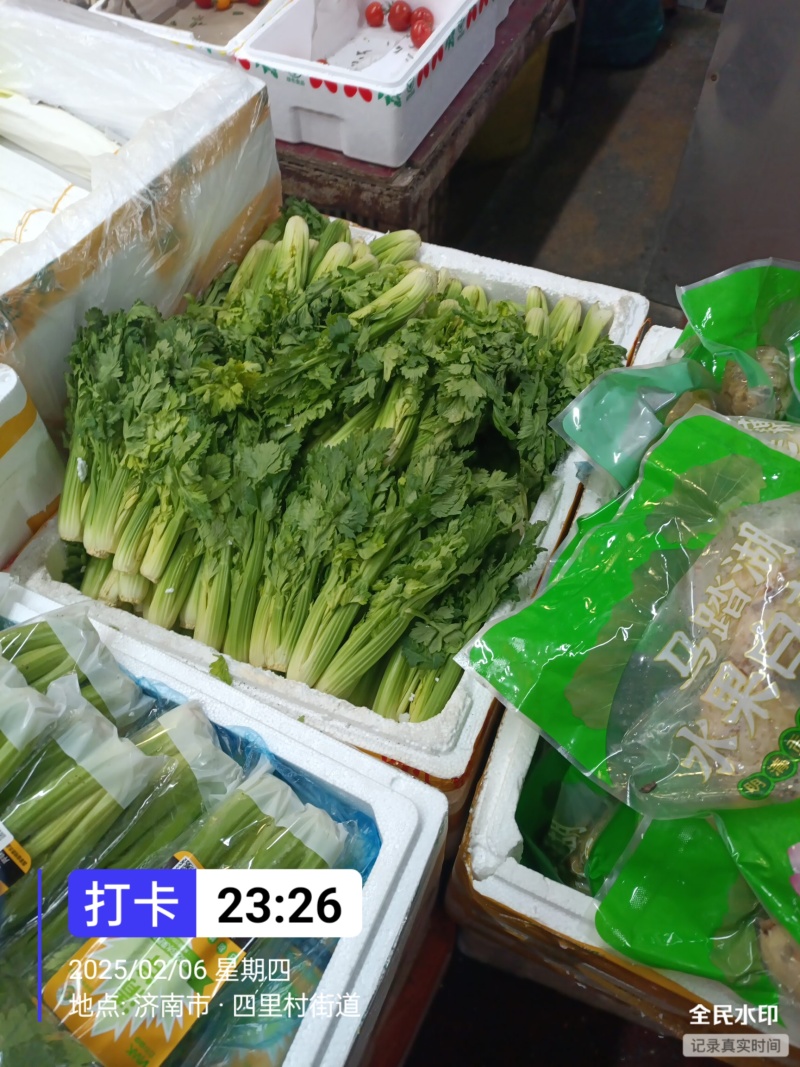维康清芹芽