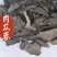肉苁蓉片硬肉苁蓉片大云片中药材肉苁蓉东弘药业一手货源现货
