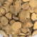 炒泽泻中药材泽泻东弘药业一手货源现货供应中药材批发零售