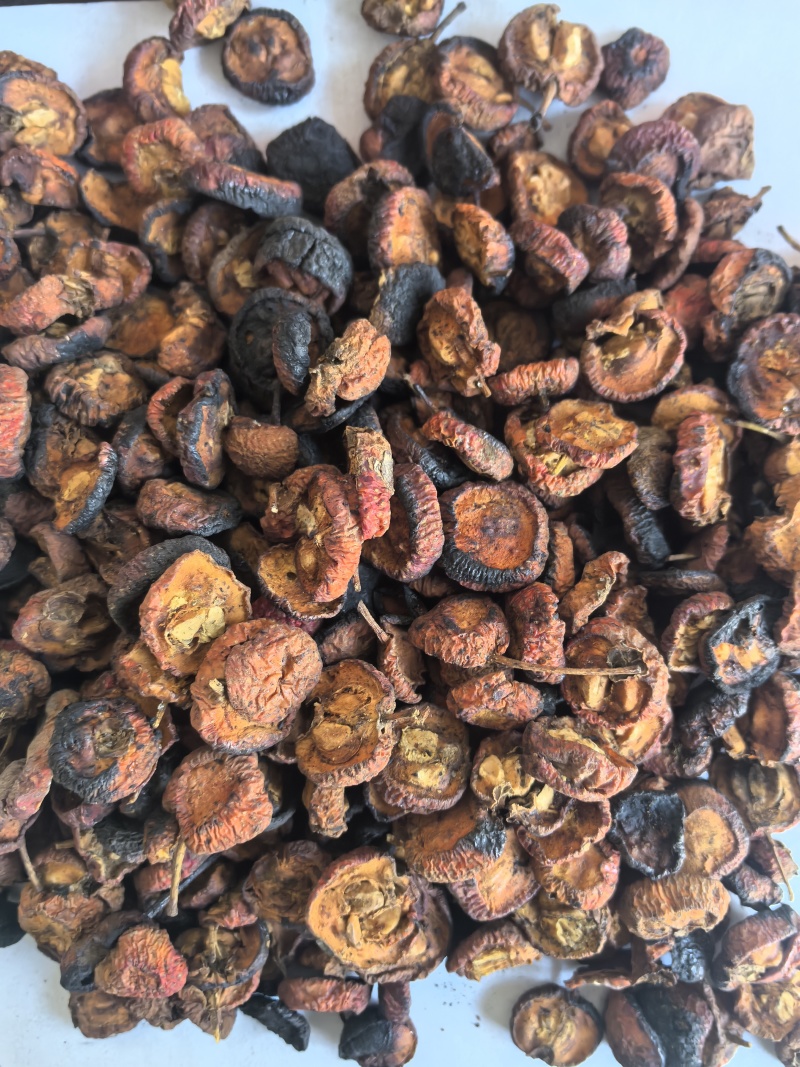 炒山楂片东弘药业一手货源现货供应中药材批发零售