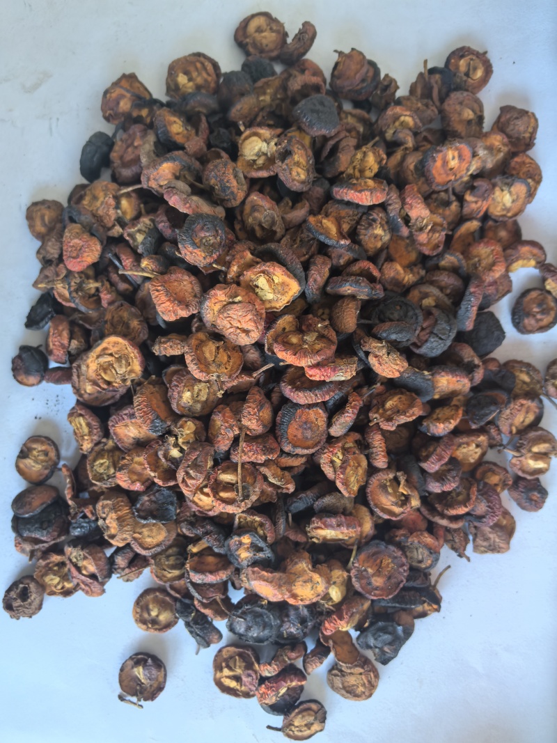 炒山楂片东弘药业一手货源现货供应中药材批发零售