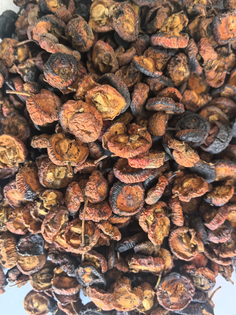 炒山楂片东弘药业一手货源现货供应中药材批发零售