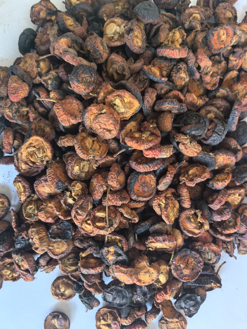 炒山楂片东弘药业一手货源现货供应中药材批发零售
