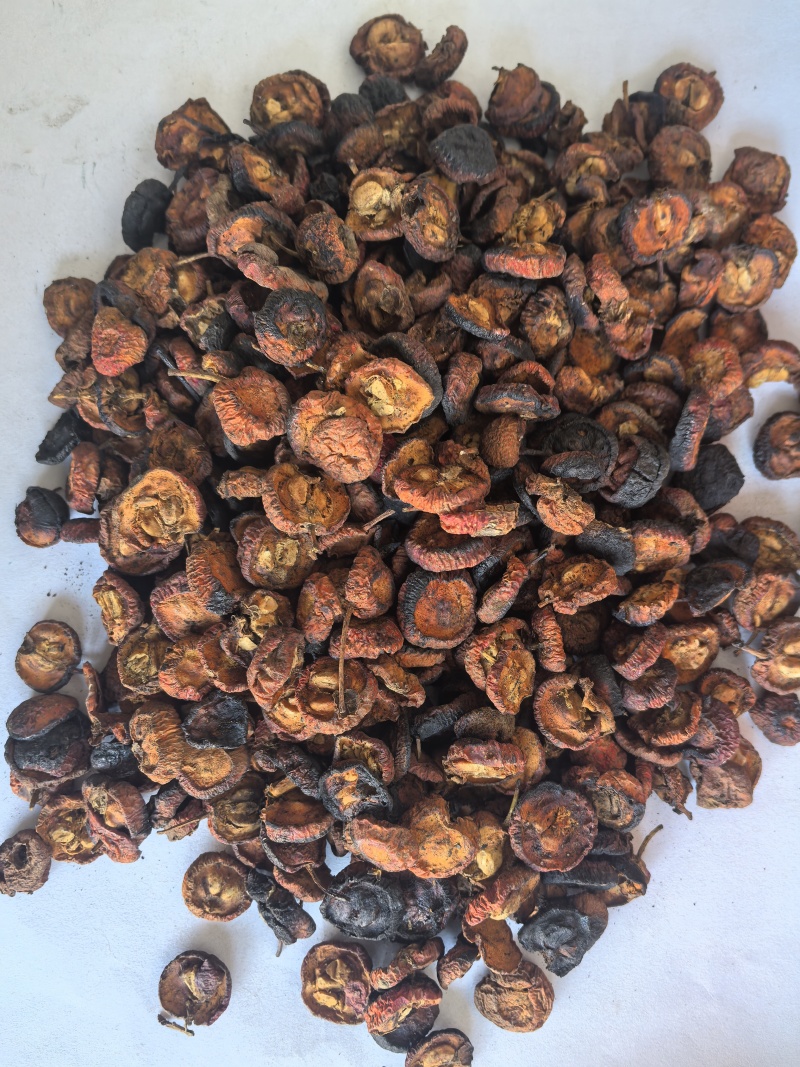 炒山楂片东弘药业一手货源现货供应中药材批发零售