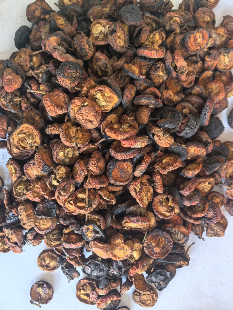炒山楂片东弘药业一手货源现货供应中药材批发零售