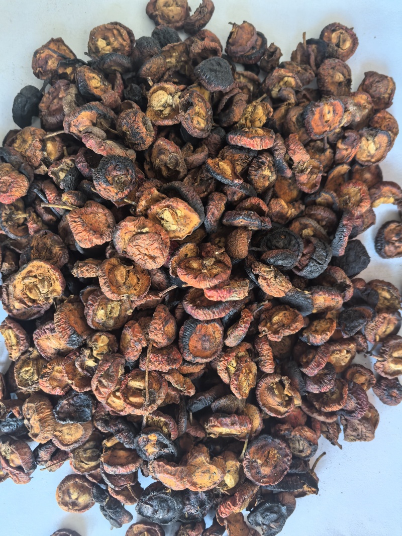 炒山楂片东弘药业一手货源现货供应中药材批发零售