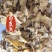 白芨片中药材白芨片东弘药业一手货源现货供应中药材批发零售