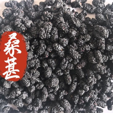 桑葚干桑葚子中药材桑葚新货东弘药业一手货源现货供应中药材