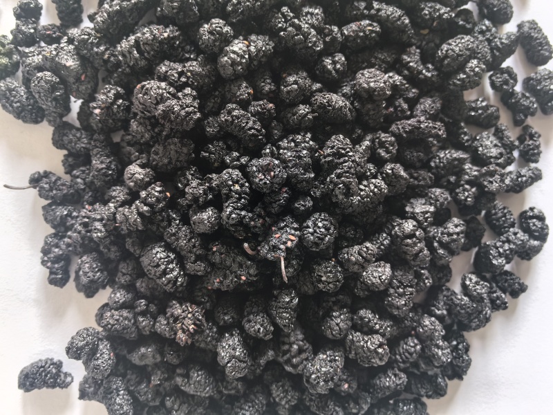 桑葚干桑葚子中药材桑葚新货东弘药业一手货源现货供应中药材