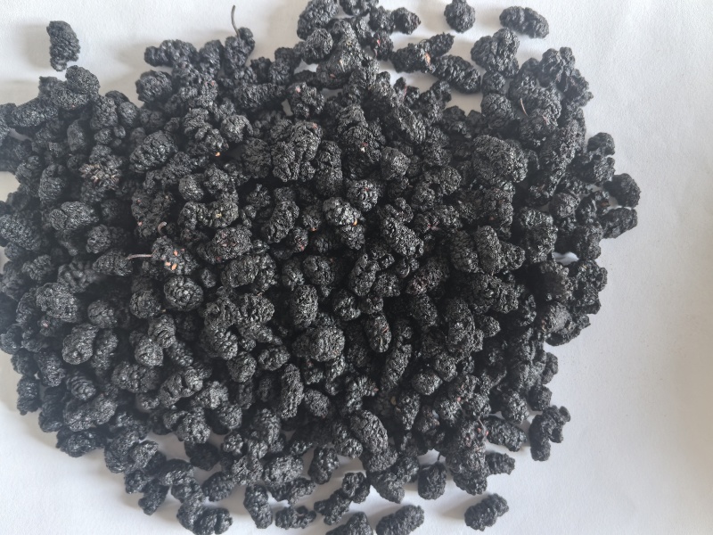 桑葚干桑葚子中药材桑葚新货东弘药业一手货源现货供应中药材