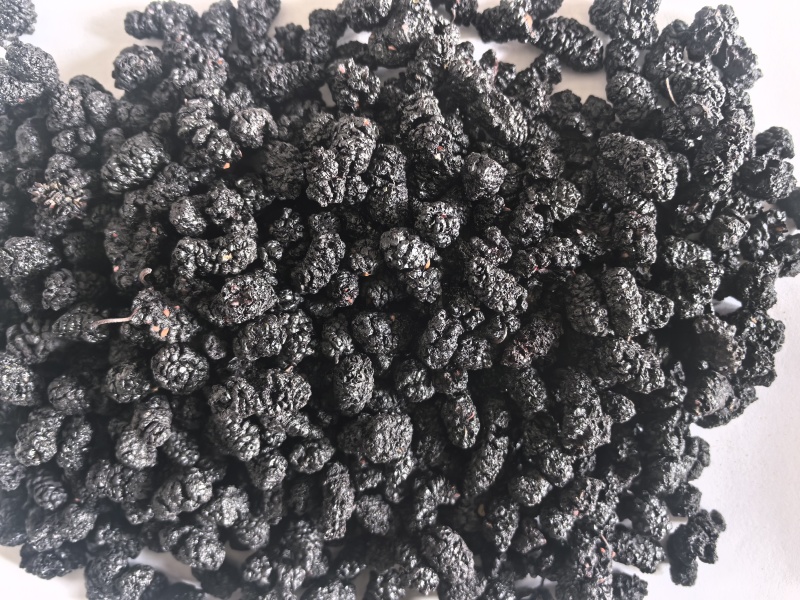 桑葚干桑葚子中药材桑葚新货东弘药业一手货源现货供应中药材