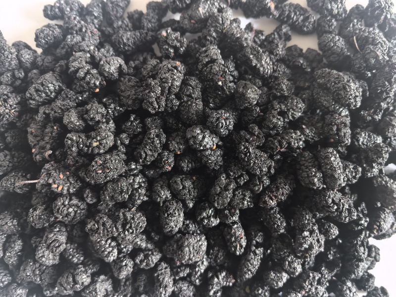 桑葚干桑葚子中药材桑葚新货东弘药业一手货源现货供应中药材