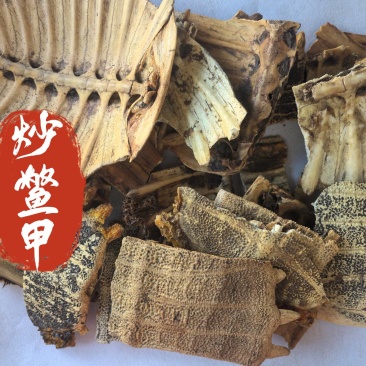 炒鳖甲中药材鳖甲新货东弘药业一手货源现货供应中药材批发零