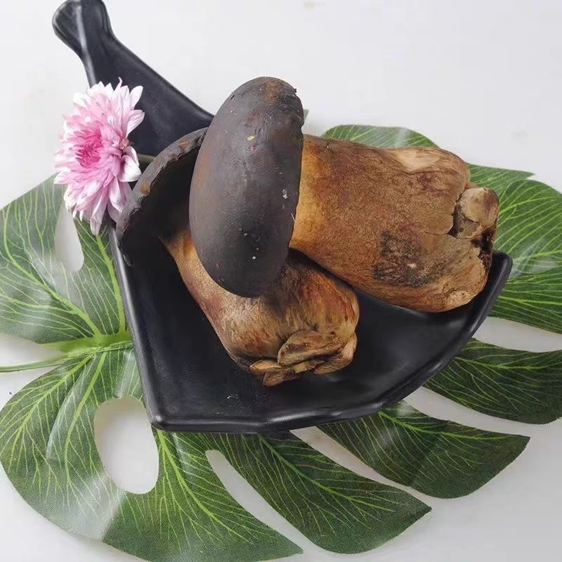 牛夫人黑牛肝菌鲜品全年供货新鲜现摘全年发货量大从优
