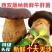 牛夫人黑牛肝菌鲜品全年供货新鲜现摘全年发货量大从优