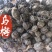 乌梅炙乌梅个中药材乌梅新货东弘药业一手货源现货供应中药材