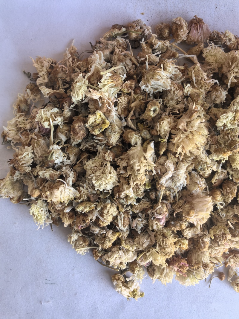菊花中药材菊花新货药用菊花东弘药业一手货源现货供应