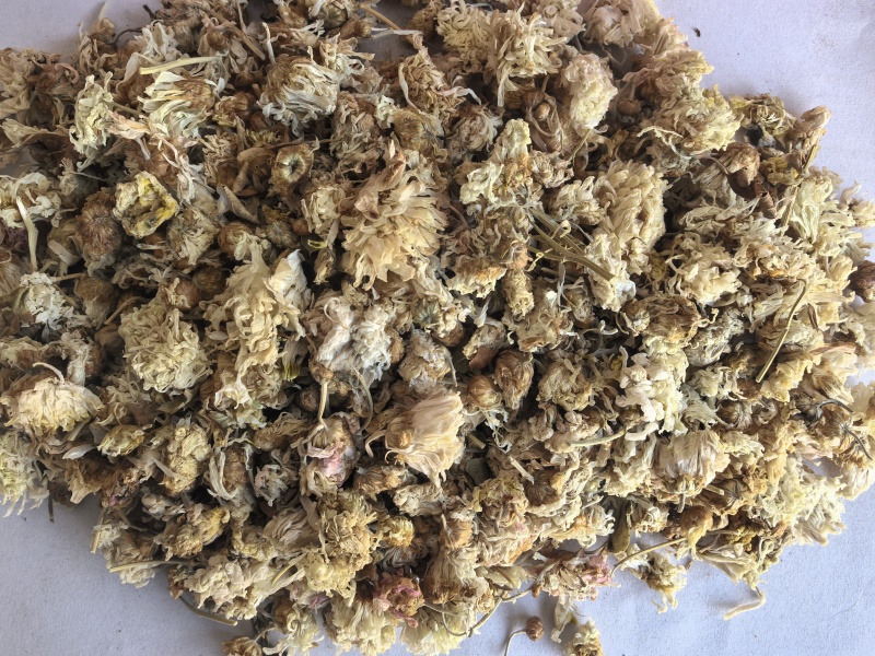 菊花中药材菊花新货药用菊花东弘药业一手货源现货供应