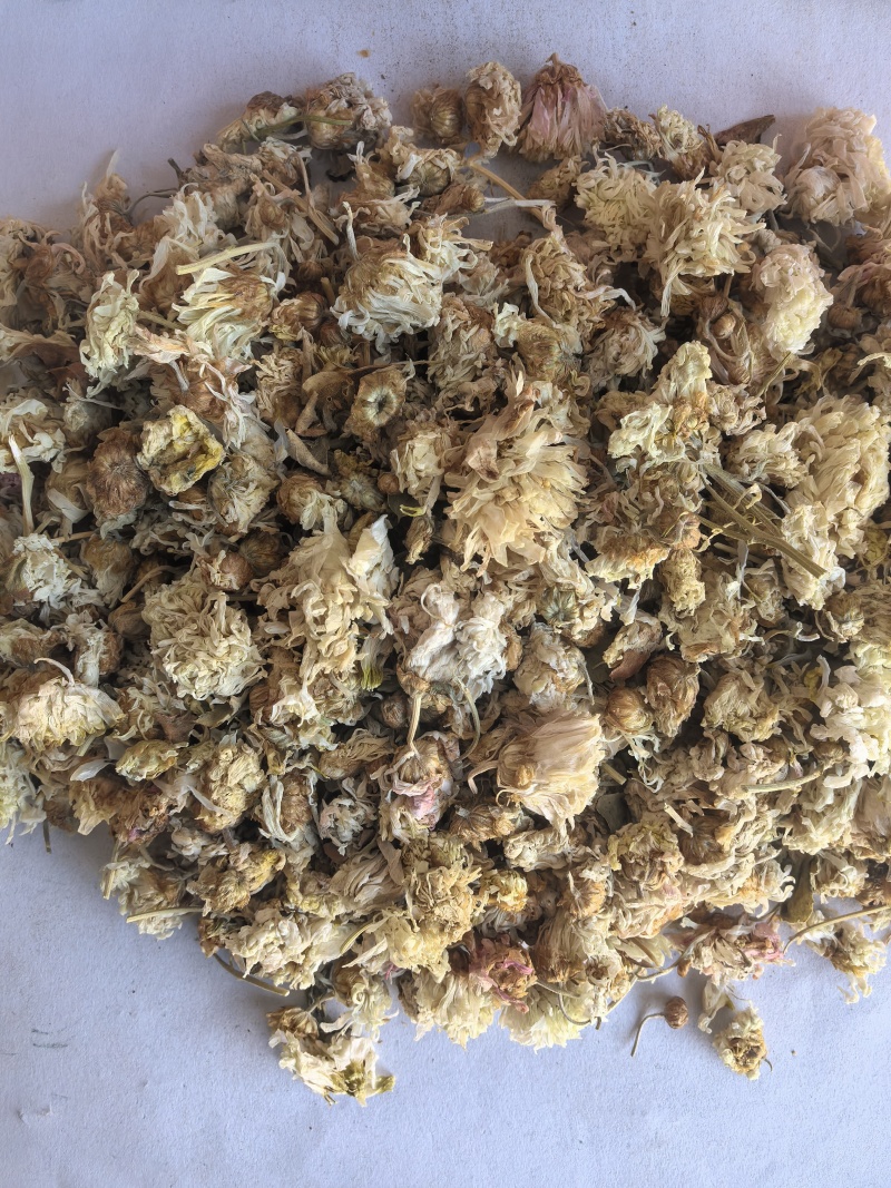 菊花中药材菊花新货药用菊花东弘药业一手货源现货供应