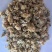 菊花中药材菊花新货药用菊花东弘药业一手货源现货供应