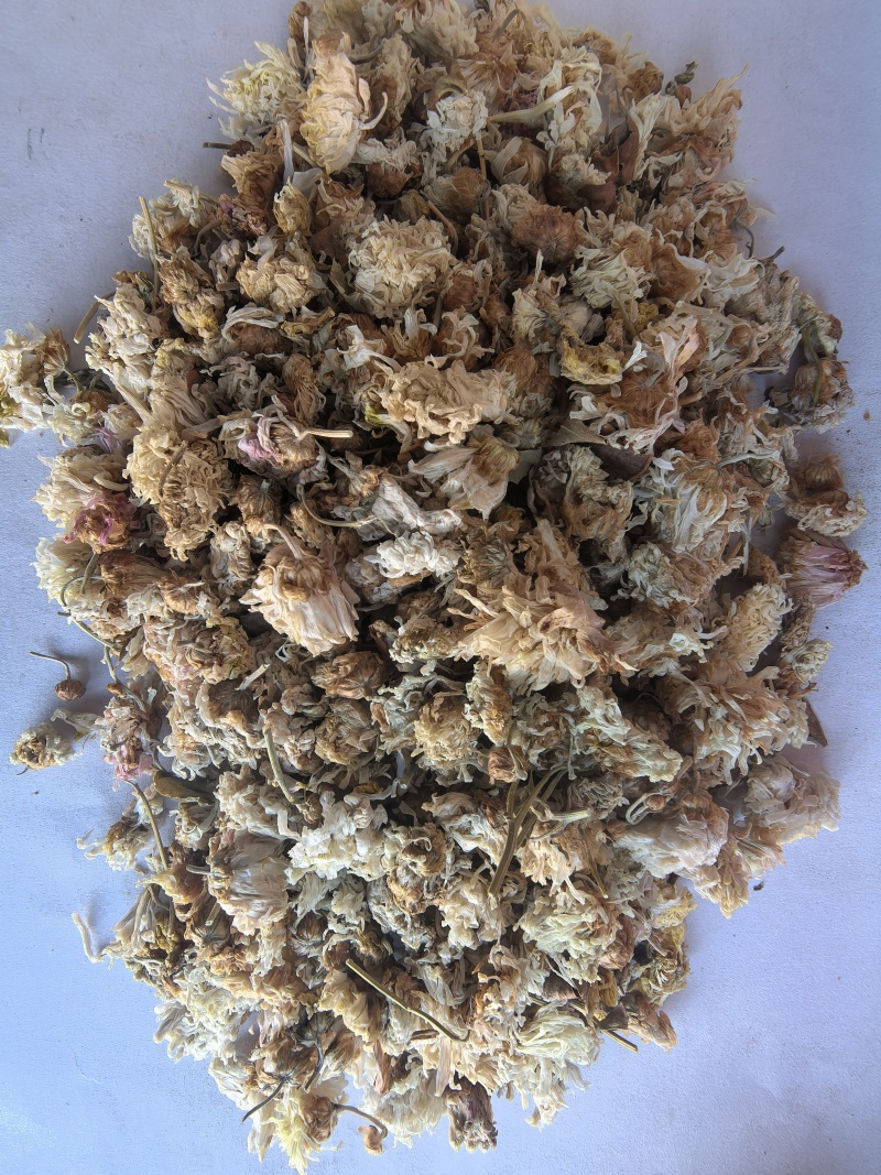 菊花中药材菊花新货药用菊花东弘药业一手货源现货供应
