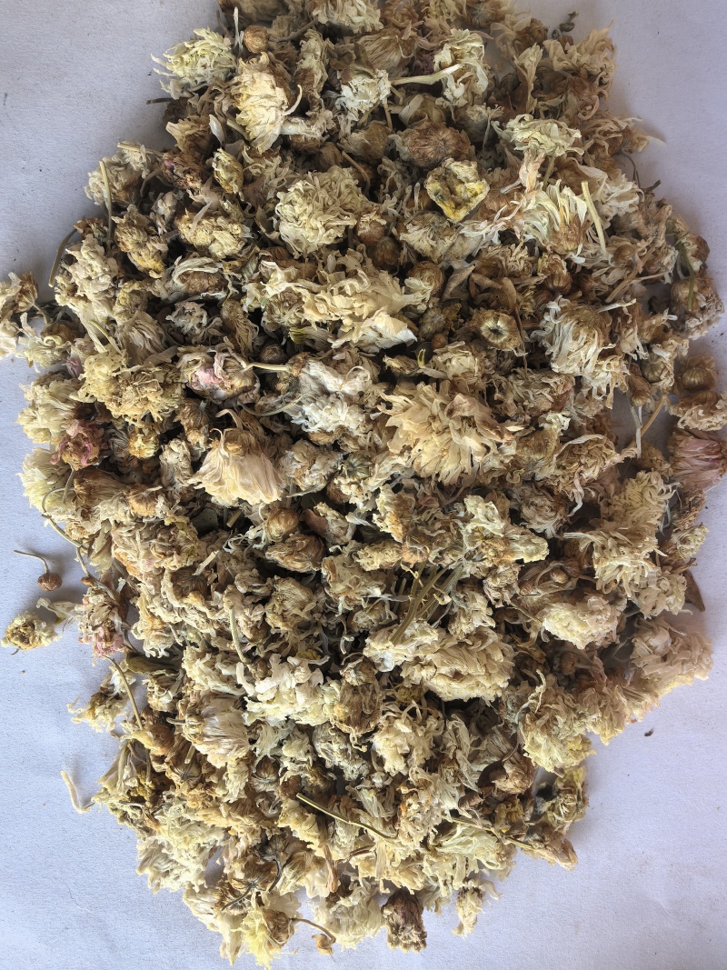 菊花中药材菊花新货药用菊花东弘药业一手货源现货供应