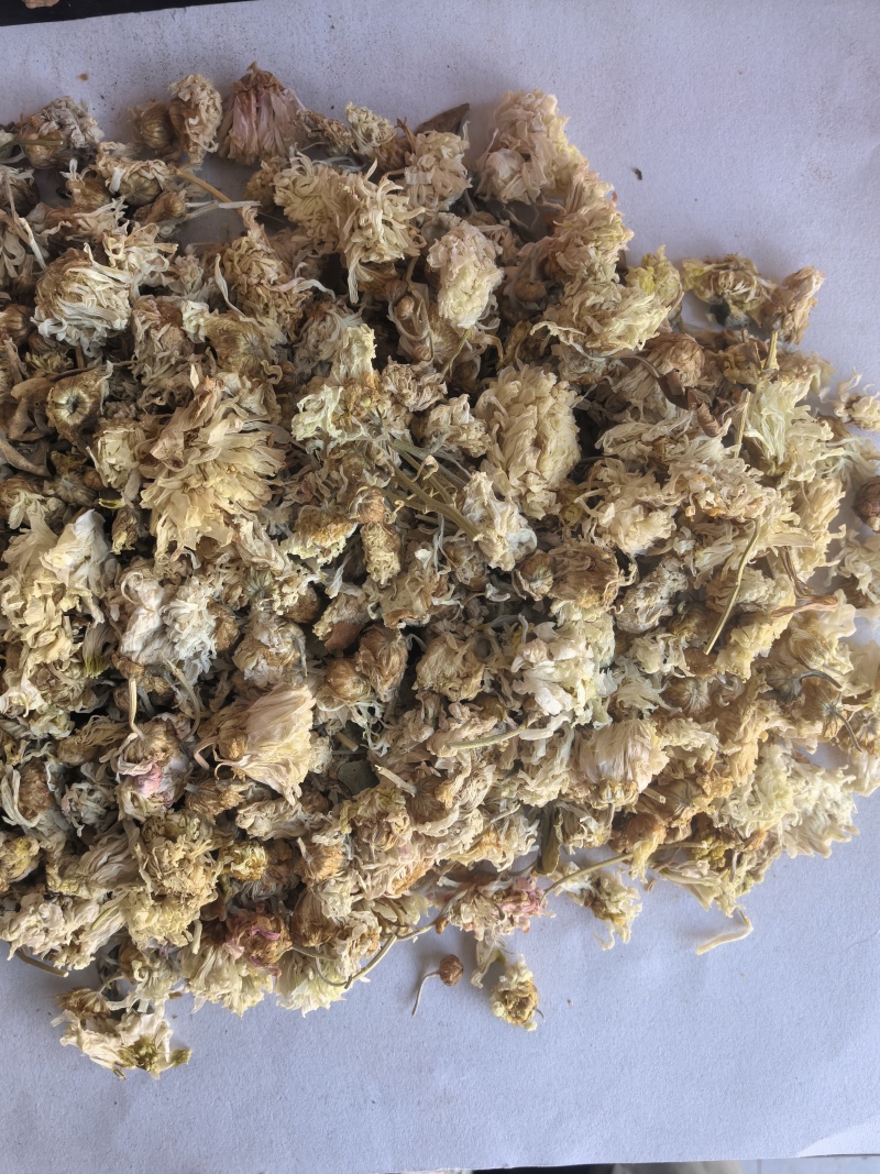 菊花中药材菊花新货药用菊花东弘药业一手货源现货供应