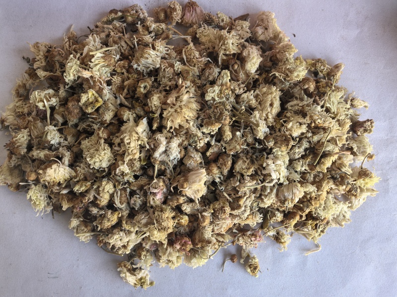 菊花中药材菊花新货药用菊花东弘药业一手货源现货供应