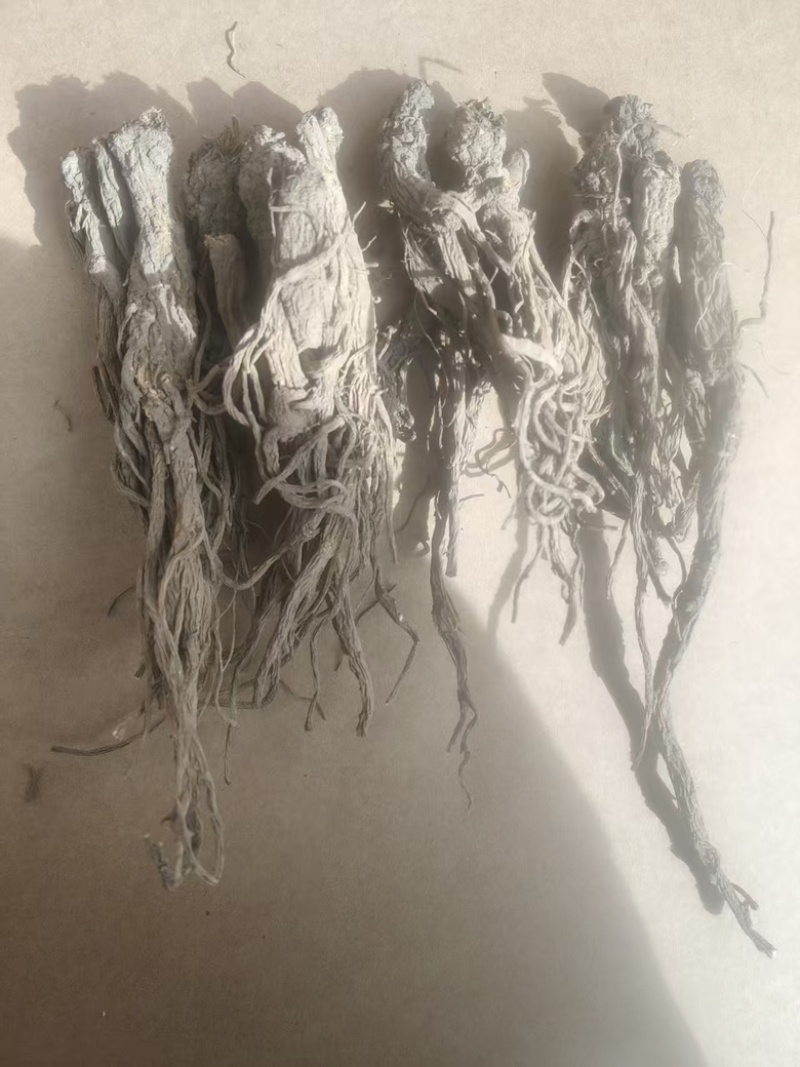（牛）甘肃岷县热卖当归产地直发，可视频看货
