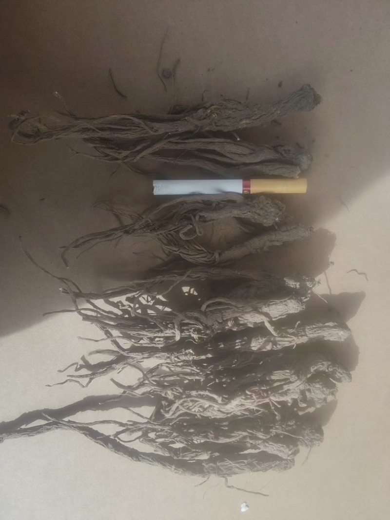 （牛）甘肃岷县热卖当归产地直发，可视频看货