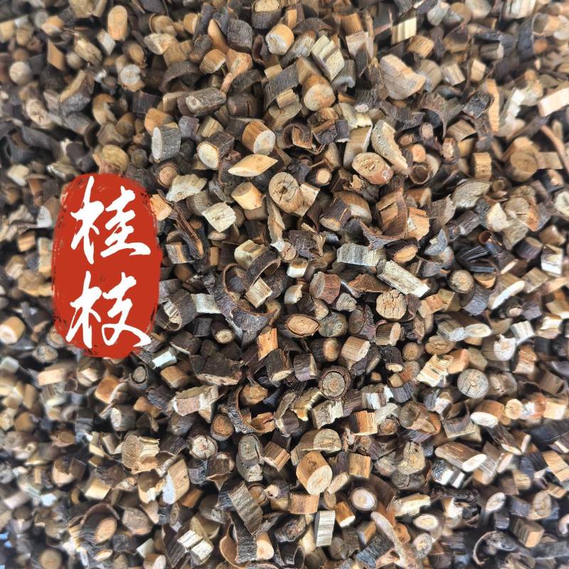 桂枝中药材桂枝新货东弘药业一手货源现货供应中药材批发零售