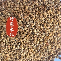 炒薏米仁中药材薏米仁新货东弘药业一手货源现货供应中药材批