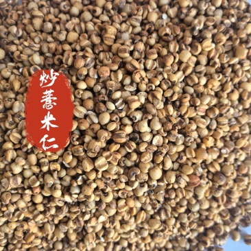 炒薏米仁中药材薏米仁新货东弘药业一手货源现货供应中药材批