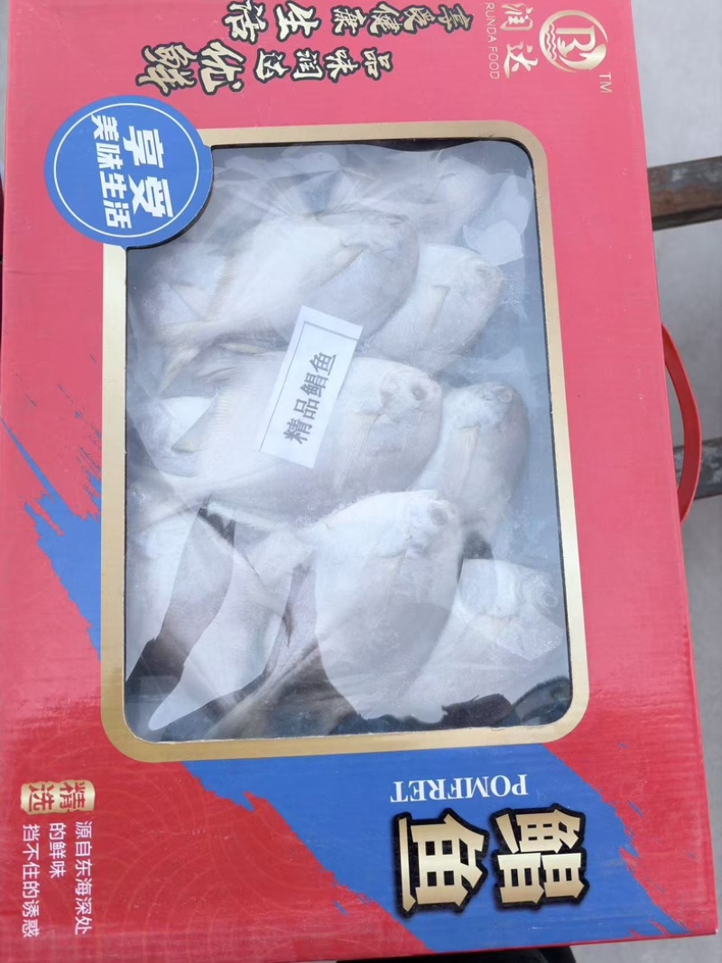 白鲳鱼，鲜活速冻，无乱刺，适合蒸煎炸炖都好吃😋