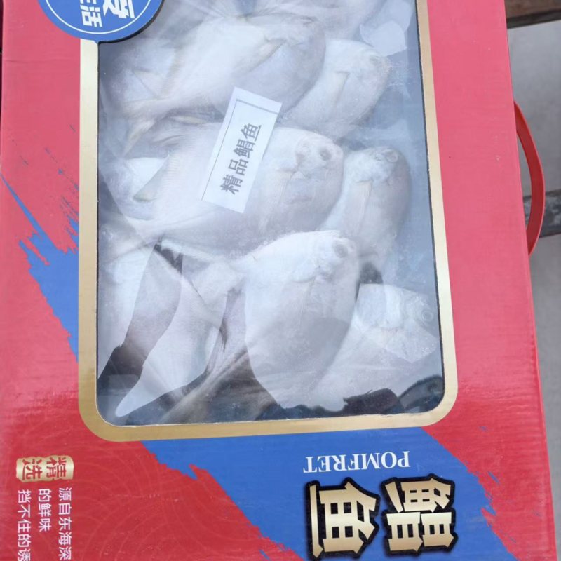 银鲳鱼，单冻，板冻，精品礼盒都有现货