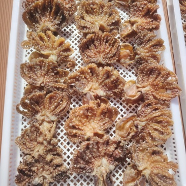 东山岛海鲜干品