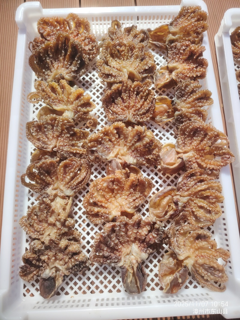 东山岛海鲜干品