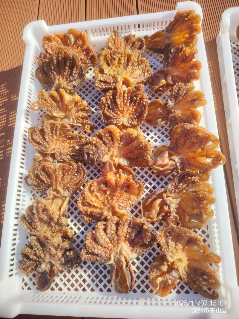 东山岛海鲜干品