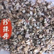 珍珠母中药材珍珠母矿石东弘药业一手货源现货供应