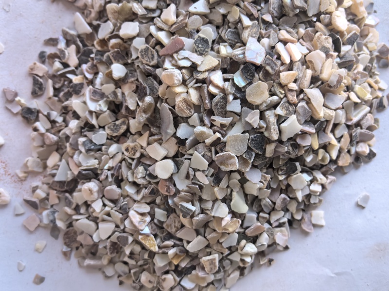 珍珠母中药材珍珠母矿石东弘药业一手货源现货供应