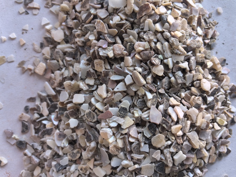 珍珠母中药材珍珠母矿石东弘药业一手货源现货供应