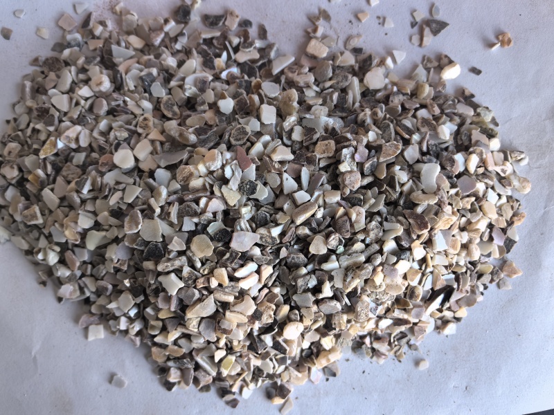 珍珠母中药材珍珠母矿石东弘药业一手货源现货供应