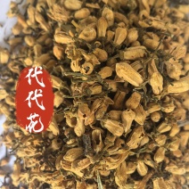 代代花中药材代代花新货东弘药业一手货源现货供应