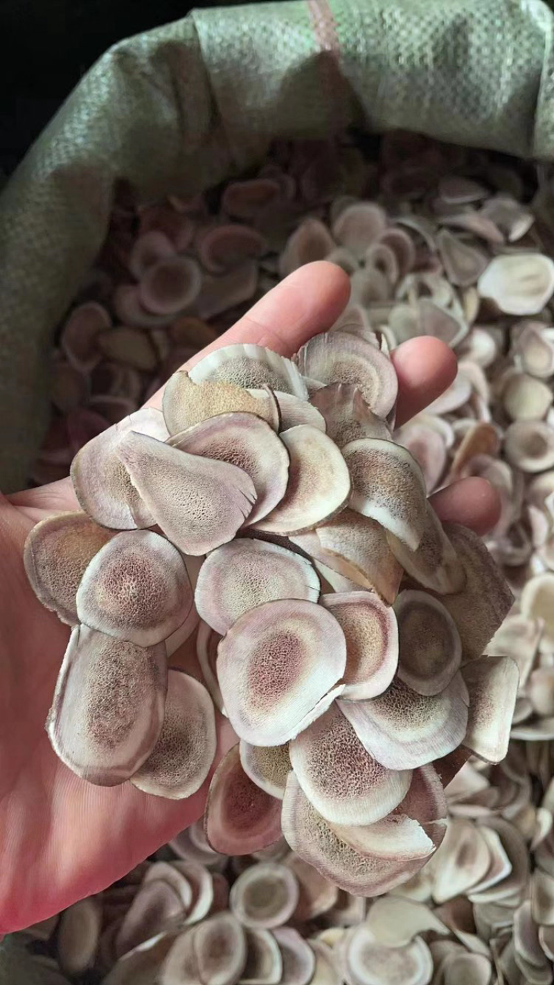 鹿角片正宗东北鹿角片鹿茸片保质保量诚信经营高含量