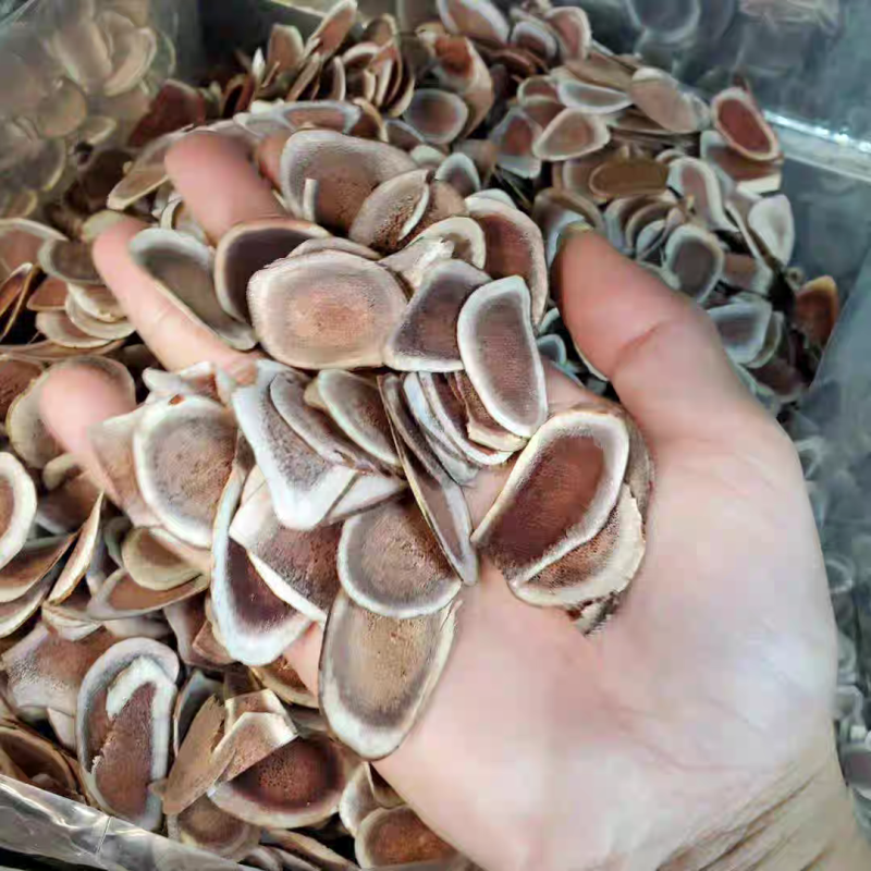 鹿角片正宗东北鹿角片鹿茸片保质保量诚信经营高含量