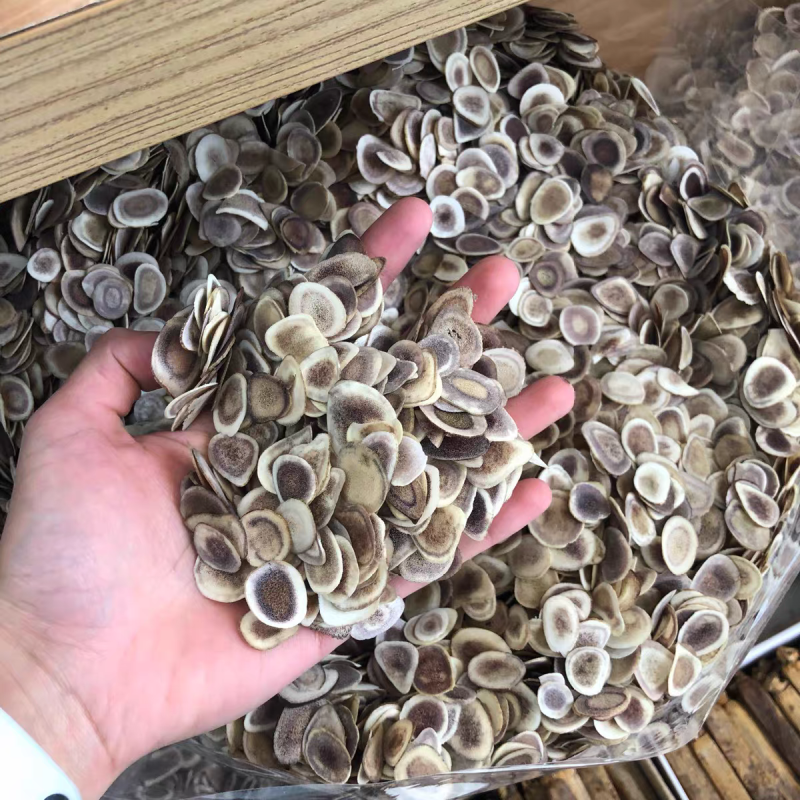鹿角片正宗东北鹿角片鹿茸片保质保量诚信经营高含量