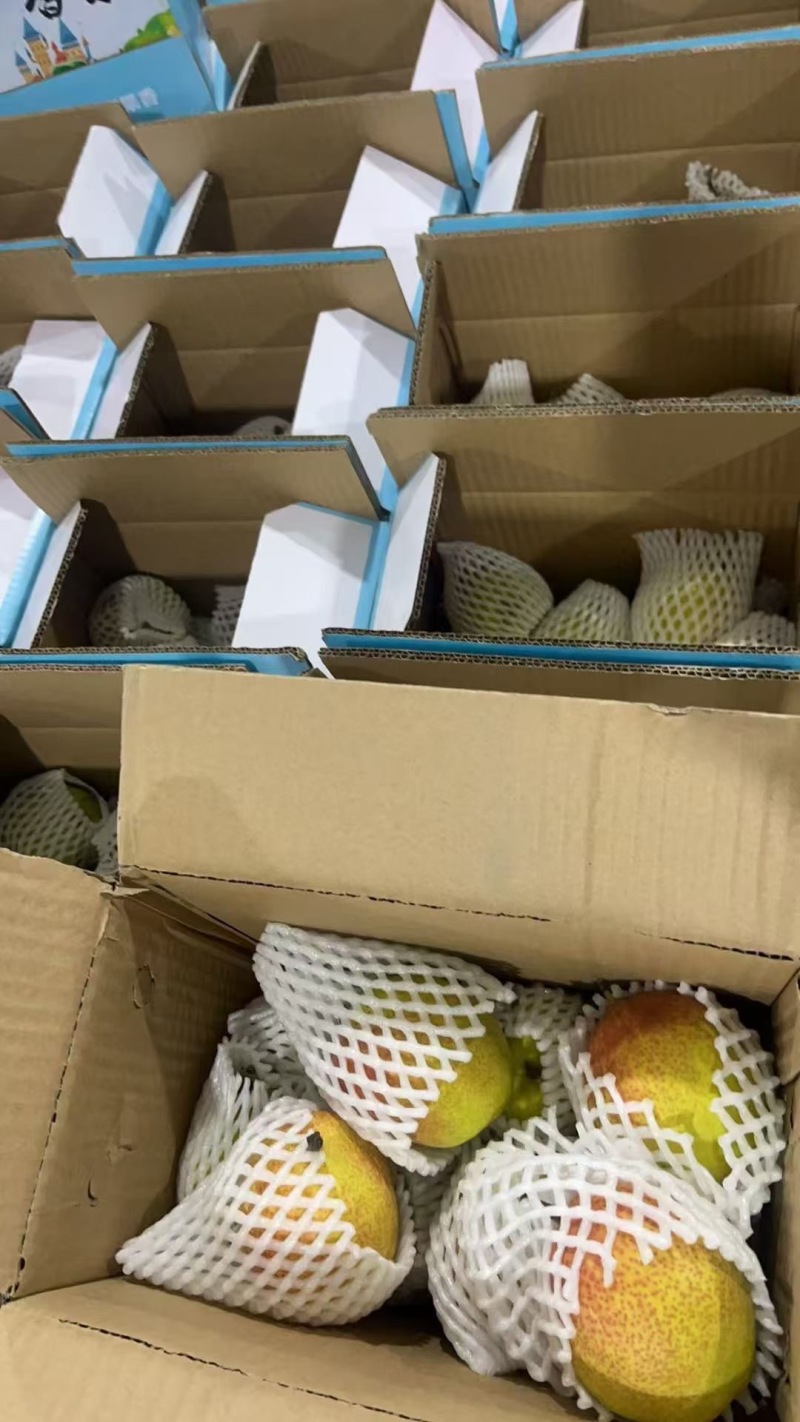 礼盒香梨大量供应，保质保量质量三包，产地直供一手货源，