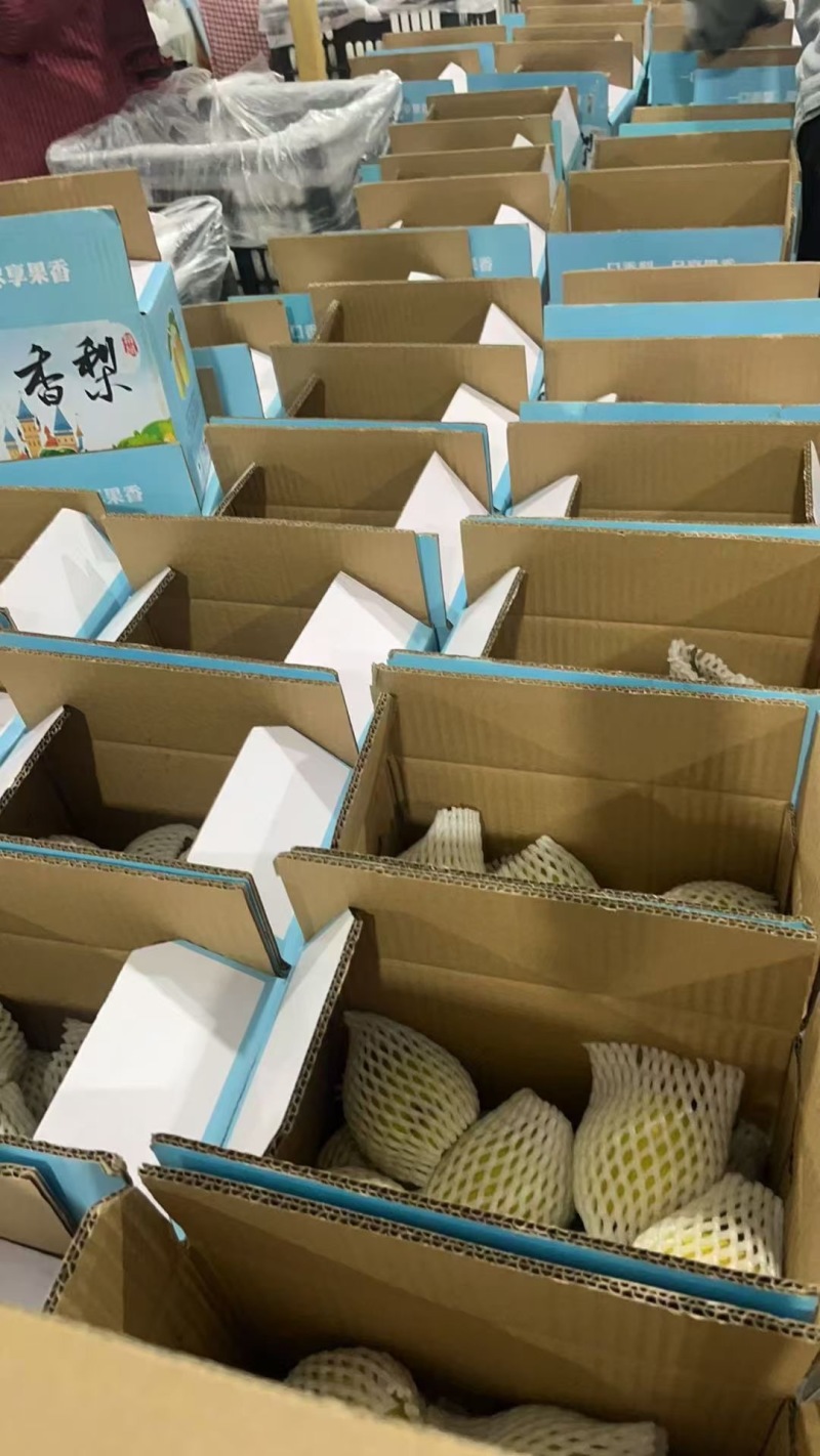 礼盒香梨大量供应，保质保量质量三包，产地直供一手货源，