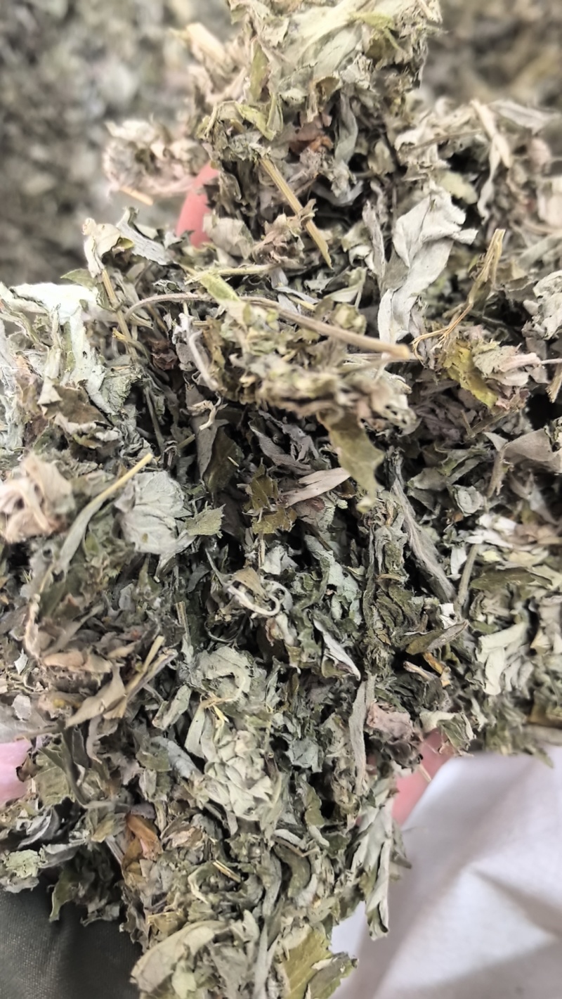 艾叶大艾叶中药材艾叶新货东弘药业一手货源现货供应