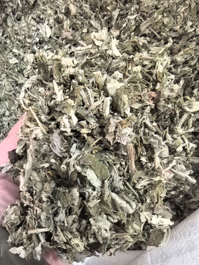 艾叶大艾叶中药材艾叶新货东弘药业一手货源现货供应